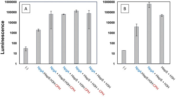 Expression of a multigene mushroom luciferin biosynthesis pathway as a pseudo-polycistron in plants.