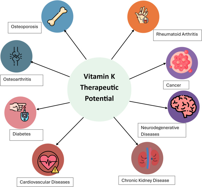 Vitamin K and women's health: a review.