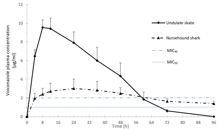 Pharmacokinetic study of voriconazole administered orally at 50 mg/kg in nursehound sharks (Scyliorhinus stellaris) and udulate skates (Raja undulata).