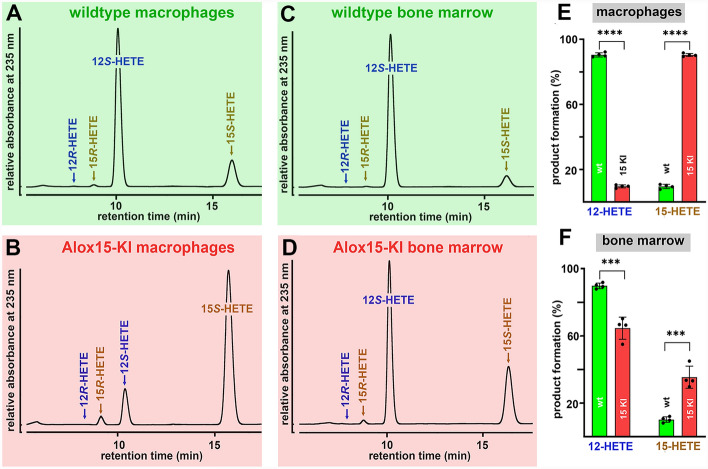 Functional humanization of 15-lipoxygenase-1 (Alox15) protects mice from dextran sodium sulfate induced intestinal inflammation.