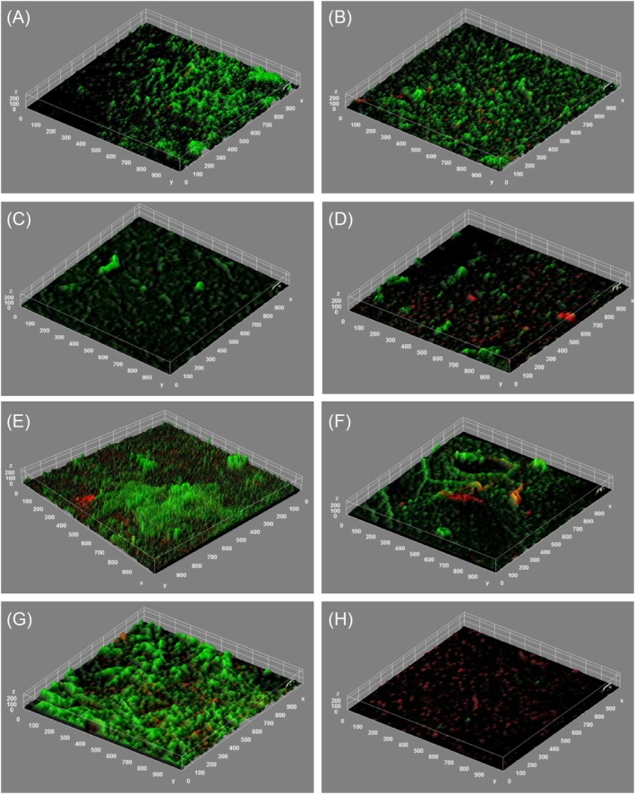 A Novel In Vitro Scrubber Model for Evaluating Wound Cleansing on Biofilms.