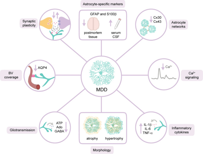 When the Stars Misfire: Astrocytic Dysfunctions in Major Depressive Disorder