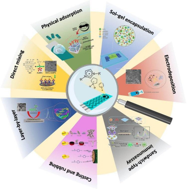 Electrochemical sensors for anticancer drugs used in the targeted therapy of chronic myeloid leukaemia.