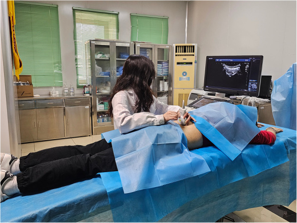 Precision targeting in acupuncture: a pilot and feasibility study protocol of ultrasound-guided approach for non-specific low back pain.