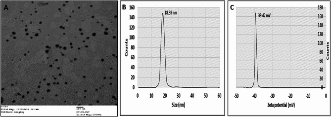 Nanoparticles from grape seed extract inhibit inflammatory cytokines and ameliorate CCl<sub>4</sub>-induced hepatotoxicity.