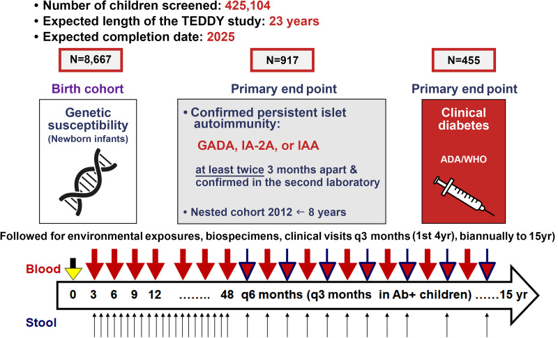 Unfolding the Mystery of Autoimmunity: The Environmental Determinants of Diabetes in the Young (TEDDY) Study.