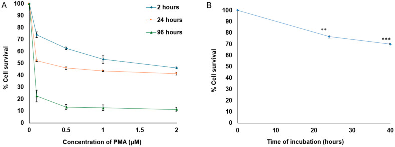 K562 Chronic Myeloid Leukemia Cells as a Dual β3-Expressing Functional Cell Line Model to Investigate the Effects of Combined αIIbβ3 and αvβ3 Antagonism.