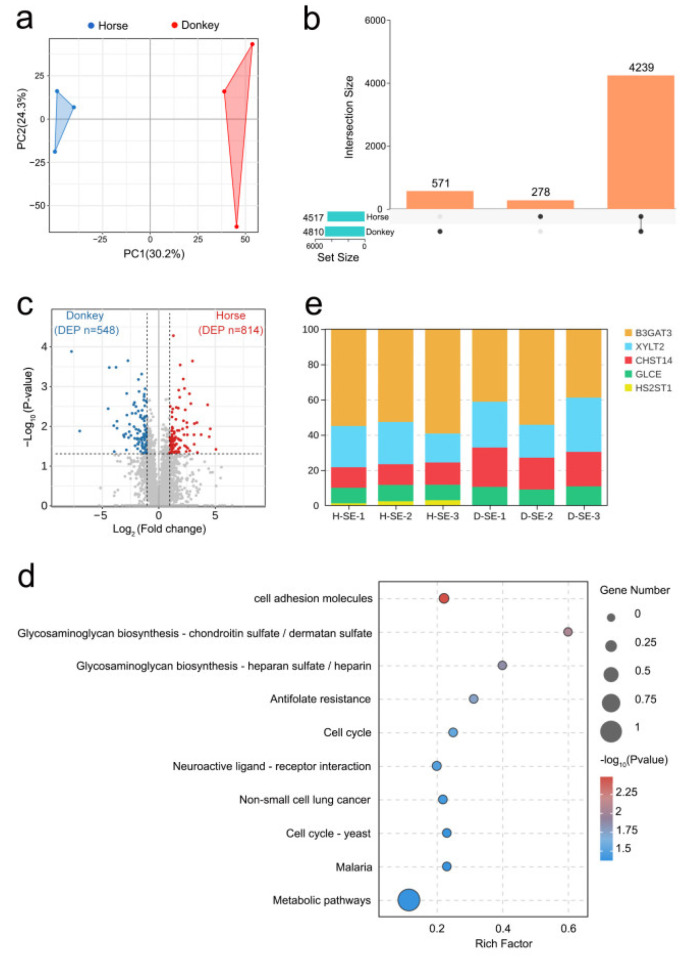 Comprehensive Integrated Analyses of Proteins and Metabolites in Equine Seminal Plasma (Horses and Donkeys).