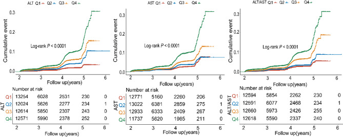 Association of hepatic biomarkers with incident diabetes: a mediation analysis of the triglyceride-glucose index in a large Chinese cohort.