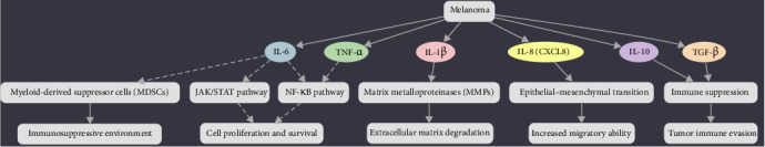 The Multifaceted Role of the IL-2 Cytokine Family in Melanoma: Mechanisms, Therapeutic Implications, and Immune Modulation.