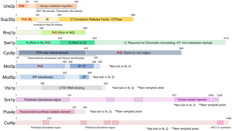 Yeast Prions: Discovery, Nature, Cellular Manipulation and Implication.