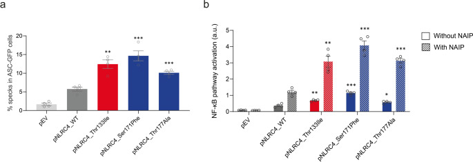 Somatic Mosaic NLRC4 Variants in Autoinflammatory Diseases: Functional Characterization and Correlation of Mosaicism Levels with Disease Age of Onset and Severity.