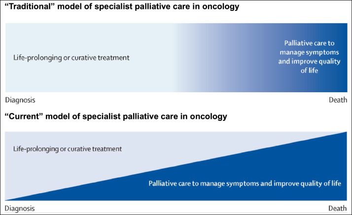 Palliative care or supportive care?