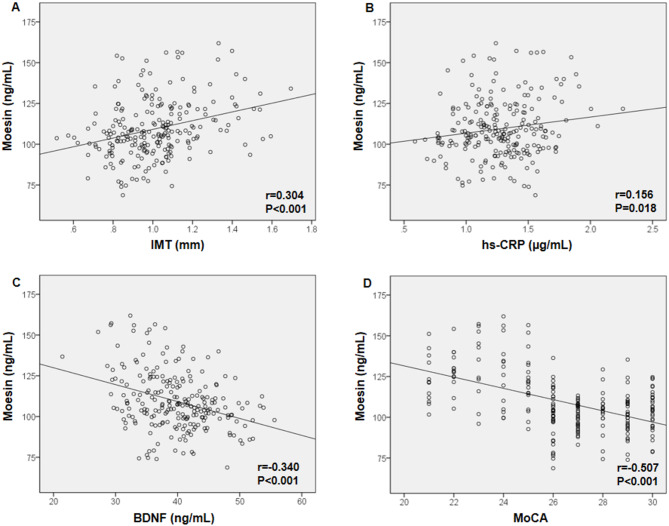 Serum moesin is associated with cognitive impairment and glucose fluctuations in patients with type 2 diabetes.