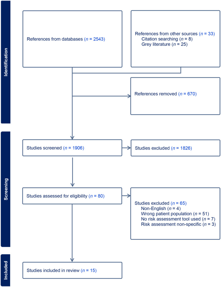 Pressure injury risk assessment for palliative care patients in the acute hospital setting: a scoping review.