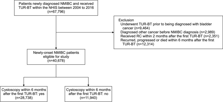 Impact of regular cystoscopy on prognosis in non-muscle-invasive bladder cancer: A nationwide study.