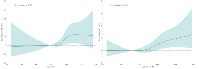 Impact of triglyceride glucose-weight adjusted waist index and its cumulative exposure on stroke risk: a nationwide prospective cohort study.
