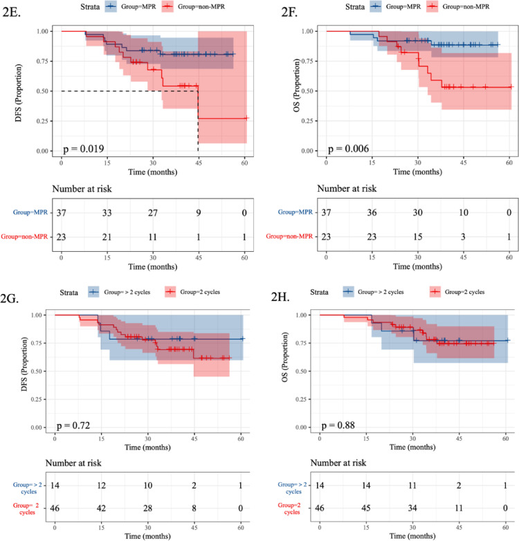 Neoadjuvant immunochemotherapy in locally advanced esophageal squamous cell carcinoma: a retrospective study with 2-year survival analysis.