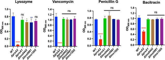 Characterization of the <i>Listeria monocytogenes</i> PieRS regulon distinguishes the function of the critical secretion chaperone PrsA2 from other regulon members.