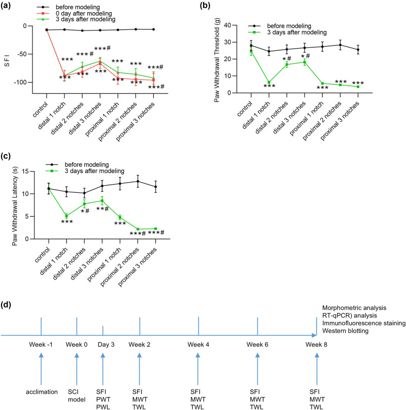 Electroacupuncture alleviates sciatic nerve injury in sciatica rats by regulating BDNF and NGF levels, myelin sheath degradation, and autophagy.