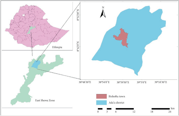 Status of <i>Eimeria</i> Infection in Dairy Calves in and Around Bishoftu, Central Ethiopia.