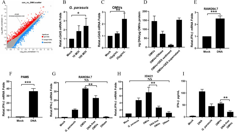 Outer membrane vesicles of Glaesserlla parasuis activate the endosomal cGAS-STING-IRF3 pathway through nucleic acid payload delivery: a biological perspective on host defense protocol optimization.