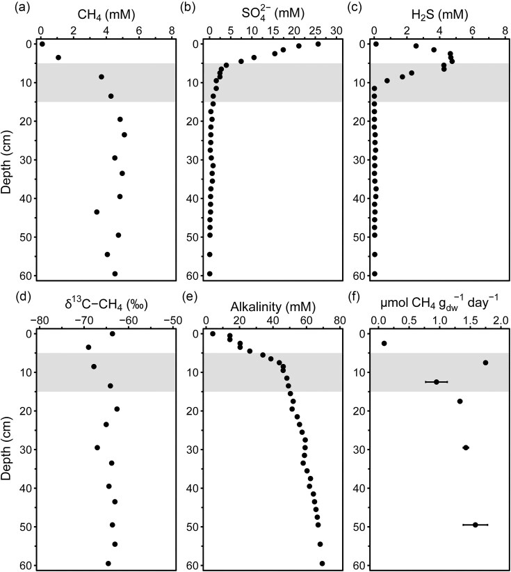 A ubiquitous and diverse methanogenic community drives microbial methane cycling in eutrophic coastal sediments.