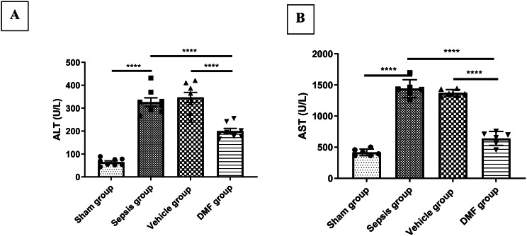 Dimethyl fumarate attenuates liver injury in a mouse model of cecal ligation and puncture by modulating inflammatory, angiogenic and pyroptotic pathways.