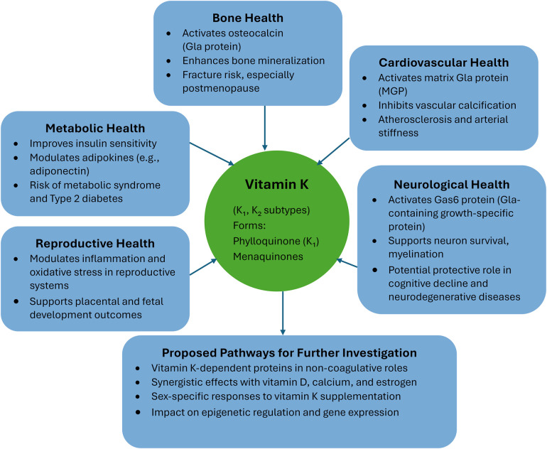 Vitamin K and women's health: a review.