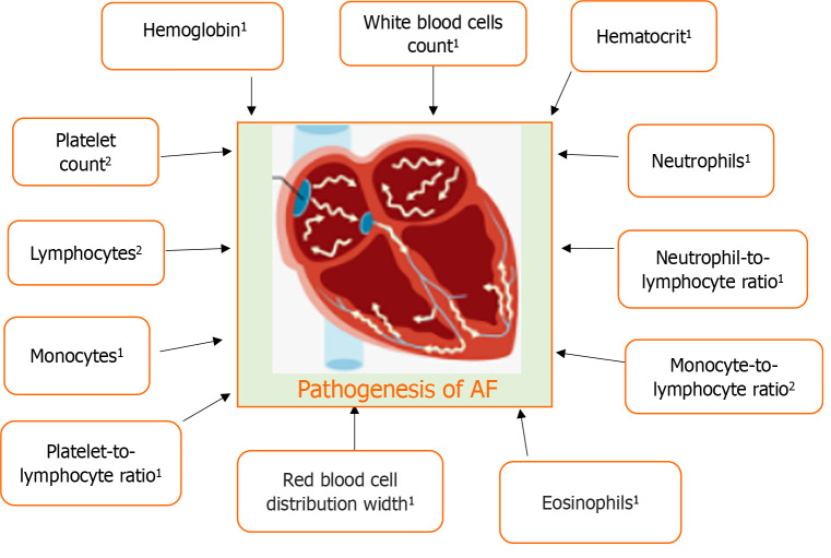 Hematological parameters in atrial fibrillation: A literature review.