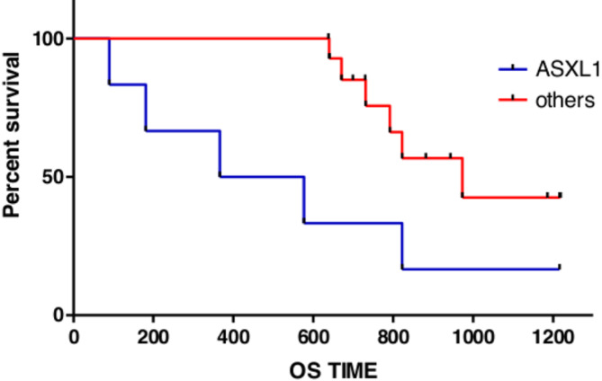 Genetic profile of ASXL1 gene in risk assessment in acute myeloid leukemia.