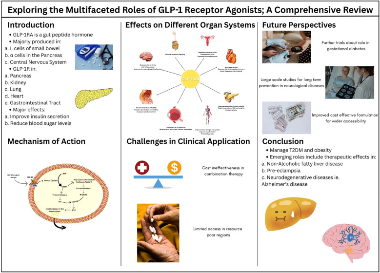 Exploring the multifaceted roles of GLP-1 receptor agonists; a comprehensive review.