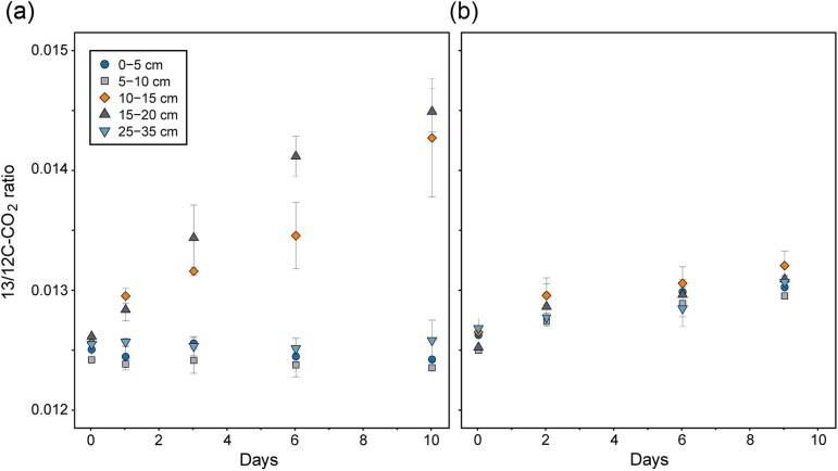 A ubiquitous and diverse methanogenic community drives microbial methane cycling in eutrophic coastal sediments.