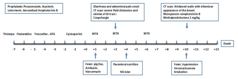 A case of Severe Gastrointestinal Toxicity after Allogeneic Hematopoietic Stem Cell Transplantation: Can We Improve the Evaluation of the "Gut Fitness"?