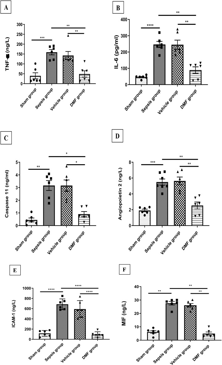 Dimethyl fumarate attenuates liver injury in a mouse model of cecal ligation and puncture by modulating inflammatory, angiogenic and pyroptotic pathways.