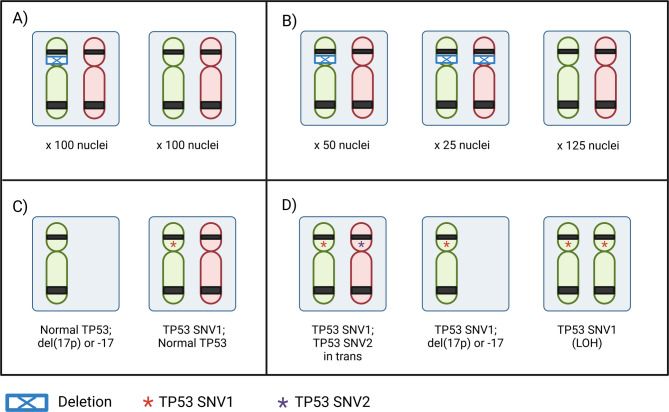 What the VAF? A guide to the interpretation of variant allele fraction, percent mosaicism, and copy number in cancer.