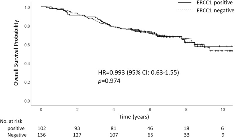 Predictive Value of Tumor ERCC1 Expression for Treatment Outcomes After Adjuvant Chemotherapy in Patients with Completely Resected Non-Small Cell Lung Cancer.