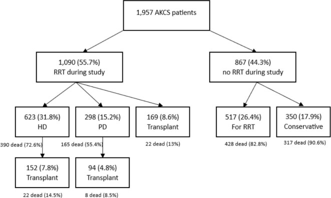 Outcomes of patients in a pre-dialysis clinic and implications for shared decision making.