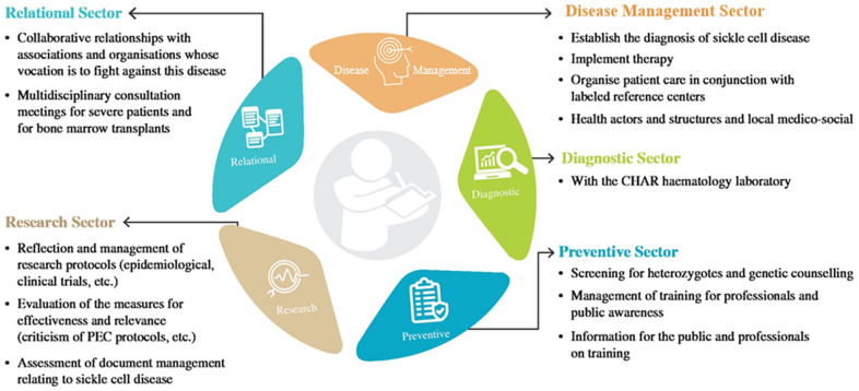 Breaking barriers: Enhancing hospital support for sickle cell disease management.