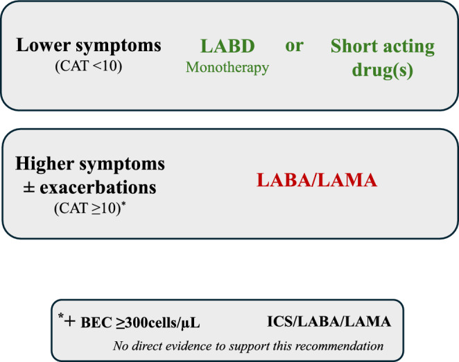 Chronic Obstructive Pulmonary Disease (COPD): Developments in Pharmacological Treatments.