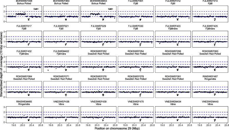 Translocations associated with colour-sidedness are common in northern Swedish cattle breeds.