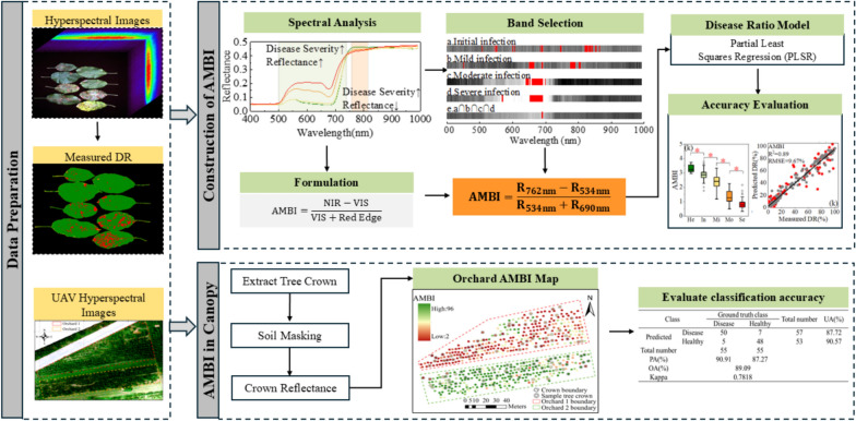 Quantifying the severity of Marssonina blotch on apple leaves: development and validation of a novel spectral index.