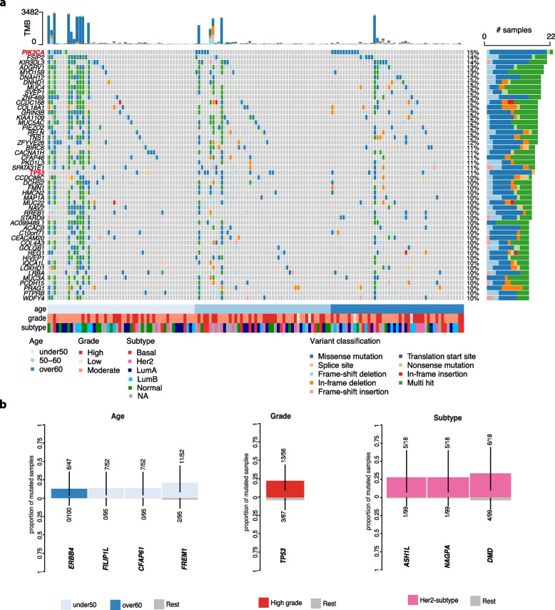 Mutational landscape of pure ductal carcinoma in situ and associations with disease prognosis and response to radiotherapy.