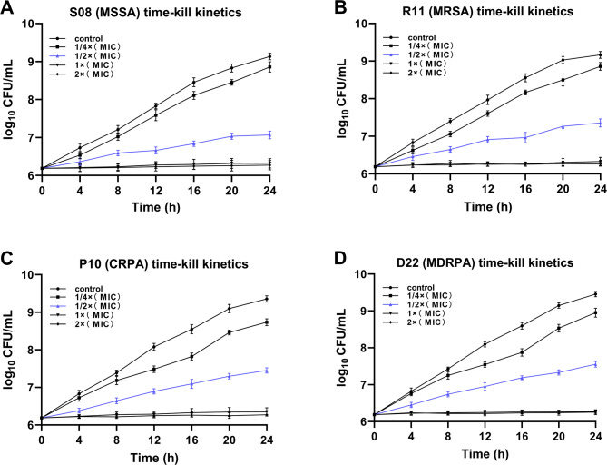 In vitro activity of Houttuynia cordata against bacteria isolated from diabetic foot.