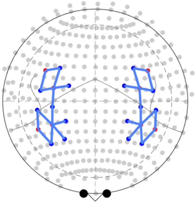 Frontal and Parietal Activities Associated With Different Inhibitory Processes in a Stroop-Matching/Stop-Signal Task: A Channel-Wise fNIRS Study.