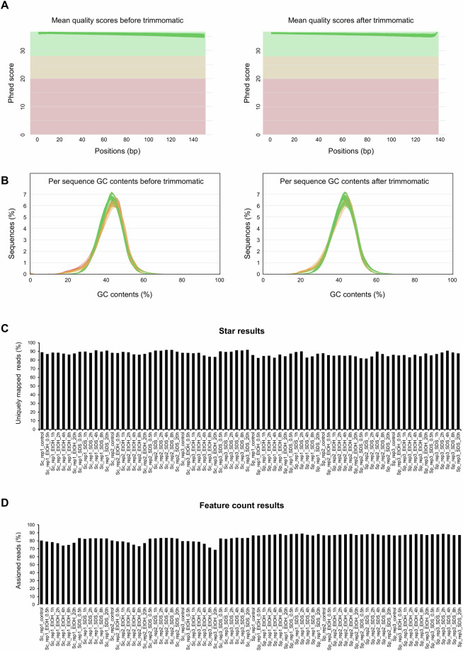 Time-resolved transcriptomics of S. cerevisiae and S. pastorianus in response to plasma membrane stresses.