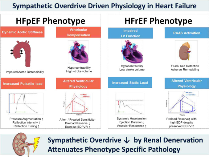 Renal denervation in the setting of heart failure.