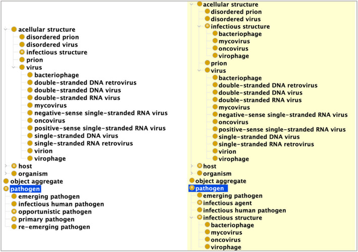 A fourfold pathogen reference ontology suite.