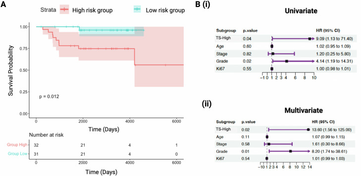 A 20-feature radiomic signature of triple-negative breast cancer identifies patients at high risk of death.