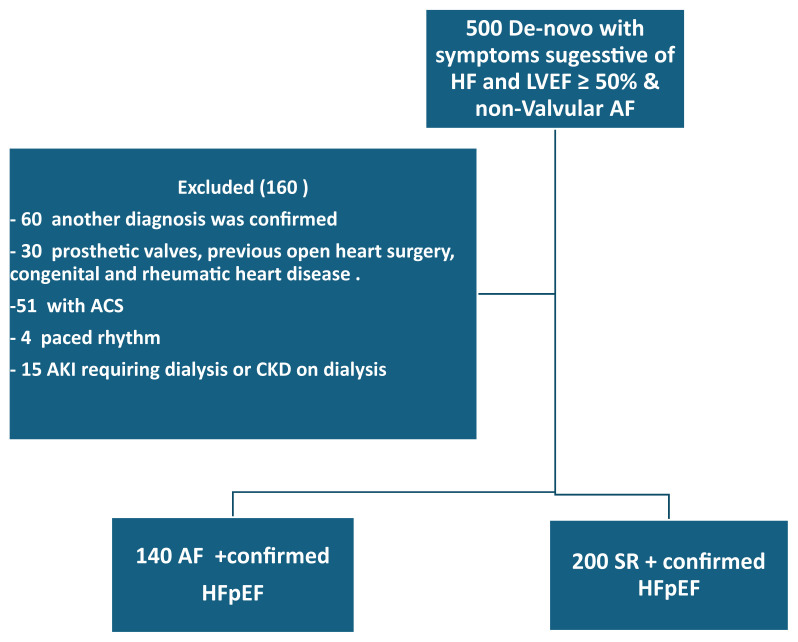 Left Atrial Remodeling Parameters and Brain Natriuretic Peptide Levels in Nonvalvular Atrial Fibrillation.